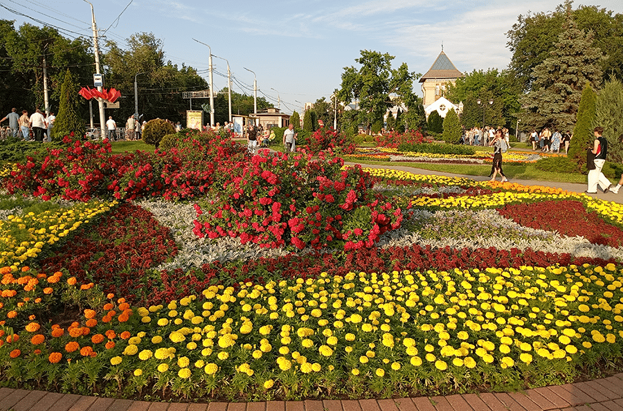Bild/Foto